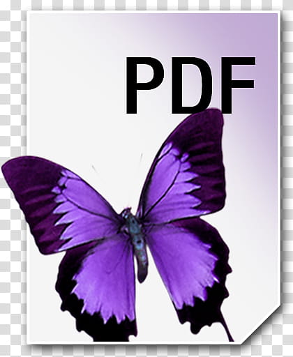 Adobe Neue Icons, PDF__, pdf icon transparent background PNG clipart