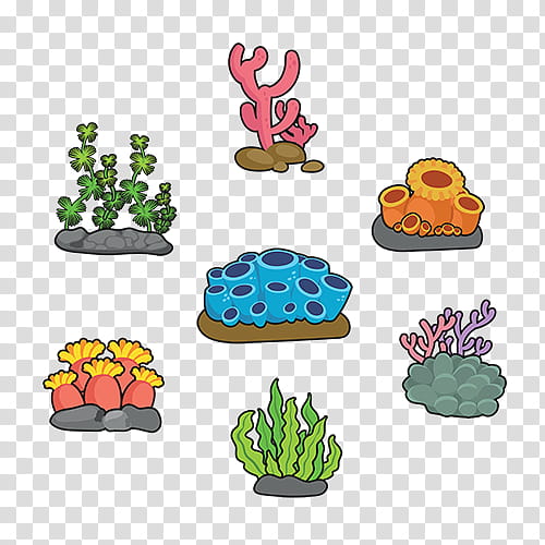 Coral, Amphibians, Sea, Seagrass, Animal, Flowerpot, Plant, Cactus transparent background PNG clipart