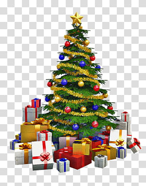 Christmas tree, Christmas Decoration, Oregon Pine, Colorado Spruce, Christmas Ornament, Christmas 
, Holiday Ornament, Fir transparent background PNG clipart thumbnail