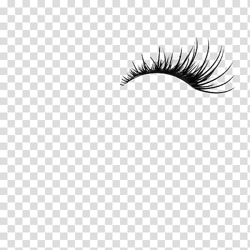 variados, eyelash cli part transparent background PNG clipart