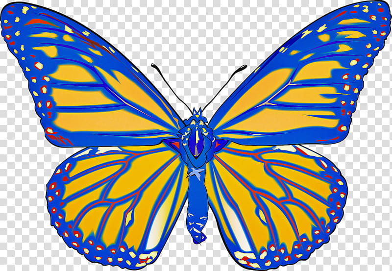 moths and butterflies butterfly cynthia (subgenus) insect brush-footed butterfly, Cynthia Subgenus, Brushfooted Butterfly, Viceroy Butterfly, Symmetry, Pollinator, Lycaenid transparent background PNG clipart