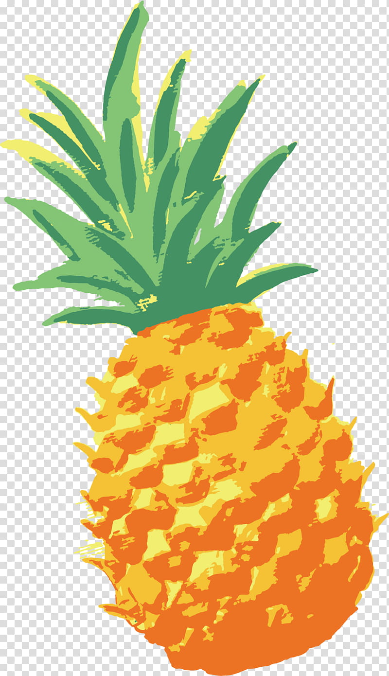 Summer Natural, Pineapple, Drawing, Fruit, Animation, Summer
, Ananas, Plant transparent background PNG clipart