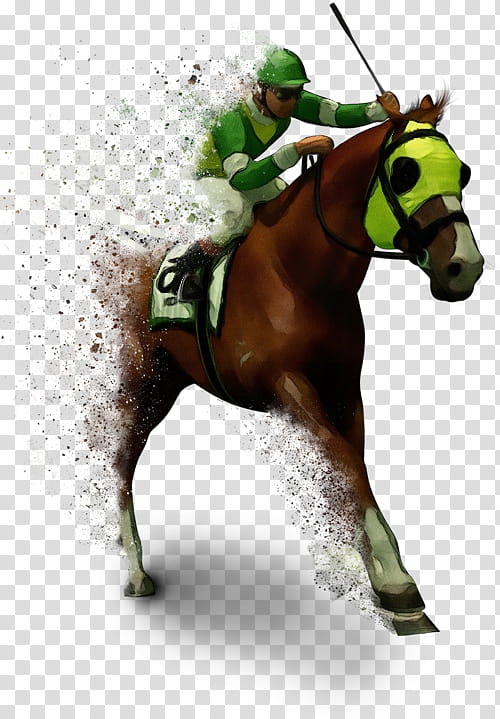 horse jockey bridle halter mane, Watercolor, Paint, Wet Ink, Rein, Horse Trainer, Animal Sports, Recreation transparent background PNG clipart