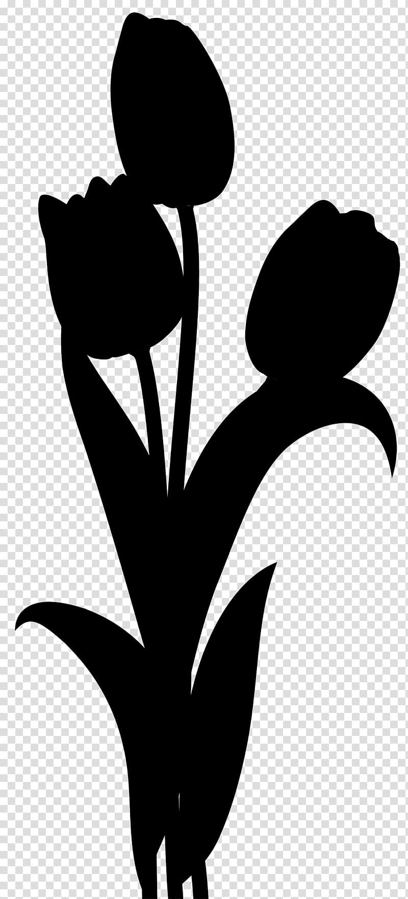 Tulip Flower, Plant Stem, Leaf, Silhouette, Branching, Plants, Black M, Blackandwhite transparent background PNG clipart