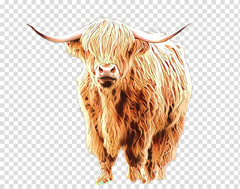 horn bovine bull live ox, Live, Yak, Cowgoat Family, Wildlife transparent background PNG clipart