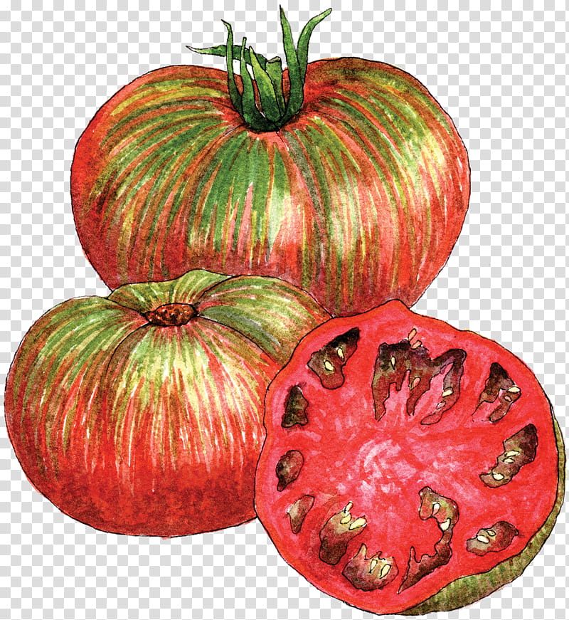 Tomato, Tiedye, Berkeley, Heirloom Tomato, Food, Heirloom Plant, Fruit, Dyeing transparent background PNG clipart