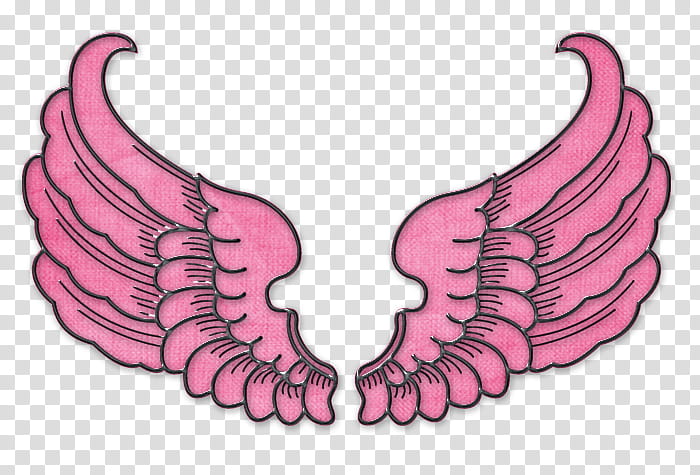 Pink Biker Babes Wings transparent background PNG clipart