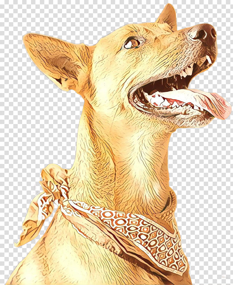 dog snout pharaoh hound sporting group fawn, Ancient Dog Breeds, Jaw transparent background PNG clipart