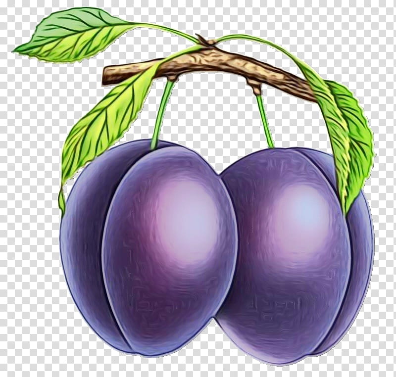 european plum violet fruit purple plant, Watercolor, Paint, Wet Ink, Tree, Food, Prunus, Cherry transparent background PNG clipart