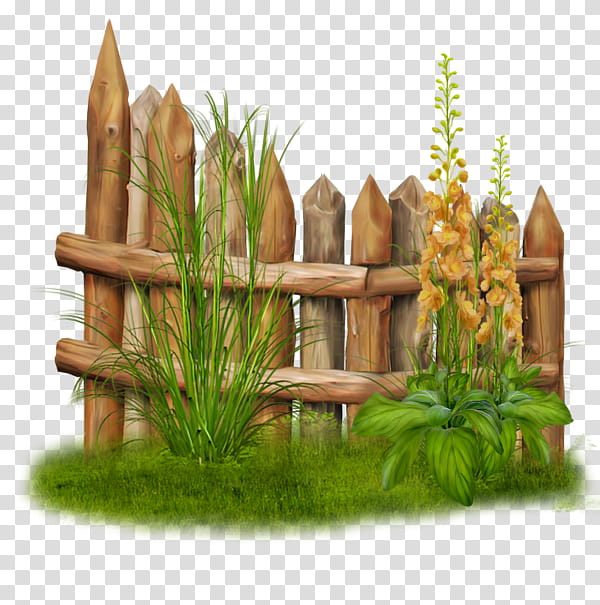 Bamboo, Fence, Wall, Perspective, Lijnperspectief, Wood, Garden, Drawing transparent background PNG clipart