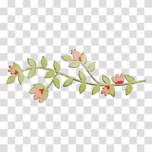 Flowers, Plant Stem, Floral Design, Leaf, Plants, Branch, Twig, Pedicel transparent background PNG clipart thumbnail