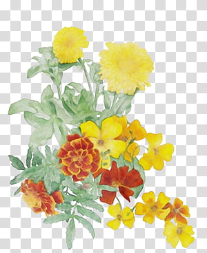 Artificial flower, Watercolor, Paint, Wet Ink, Yellow, Tagetes, Cut Flowers, Plant transparent background PNG clipart thumbnail