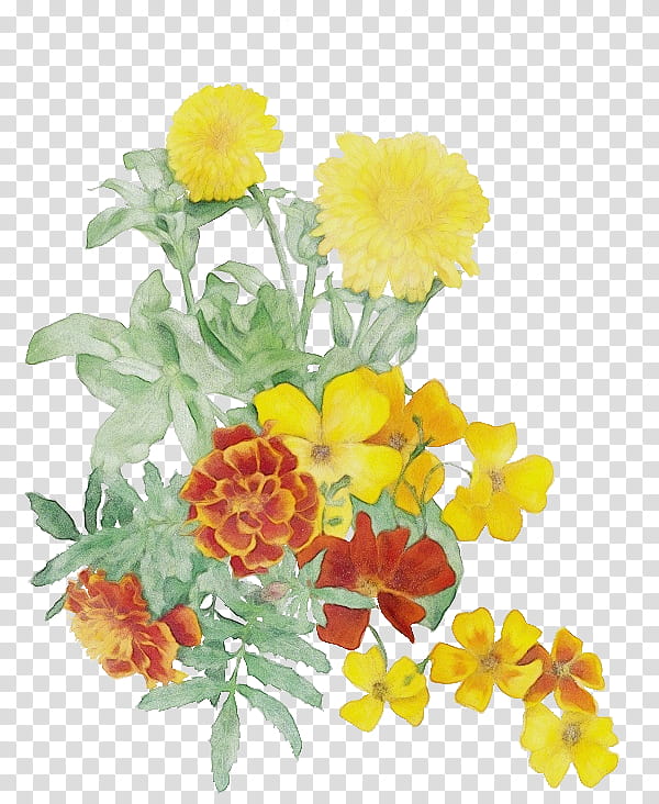 Artificial flower, Watercolor, Paint, Wet Ink, Yellow, Tagetes, Cut Flowers, Plant transparent background PNG clipart