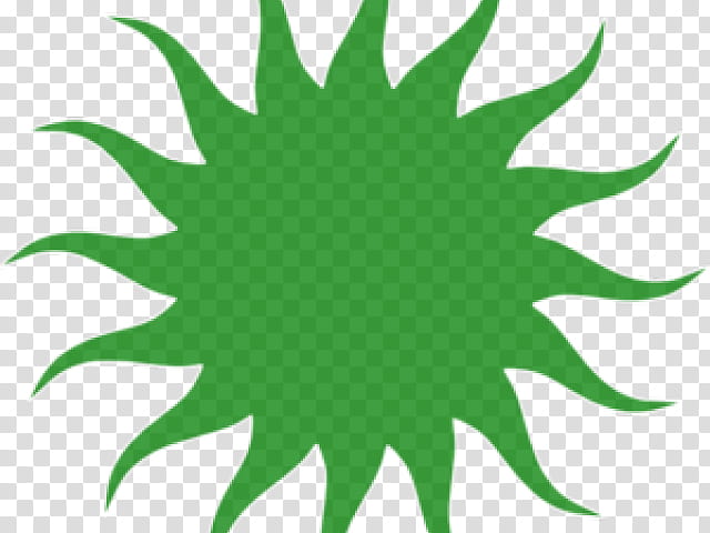 Green Leaf, Wall Decal, Vergina Sun, Sticker, Symbol, Sunlight, Tree, Line transparent background PNG clipart