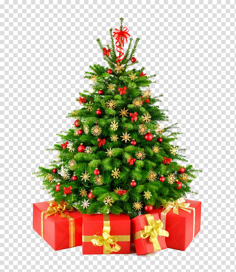 Christmas Resource , green Christmas tree art transparent background PNG clipart