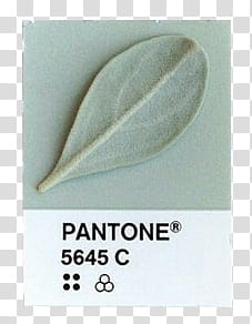Pantone s, gray leaf with text overlay transparent background PNG clipart