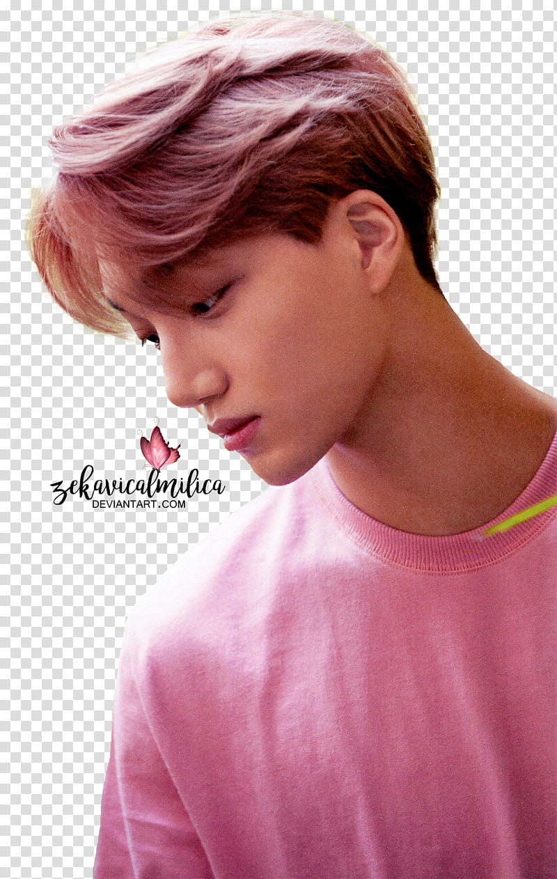 EXO Kai Dear Happiness transparent background PNG clipart