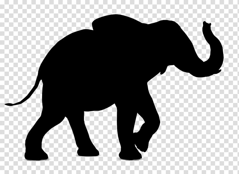 Facebook Silhouette, Indian Elephant, African Elephant, Animal, Cartoon, Advertising, Wildlife, Animal Figure transparent background PNG clipart