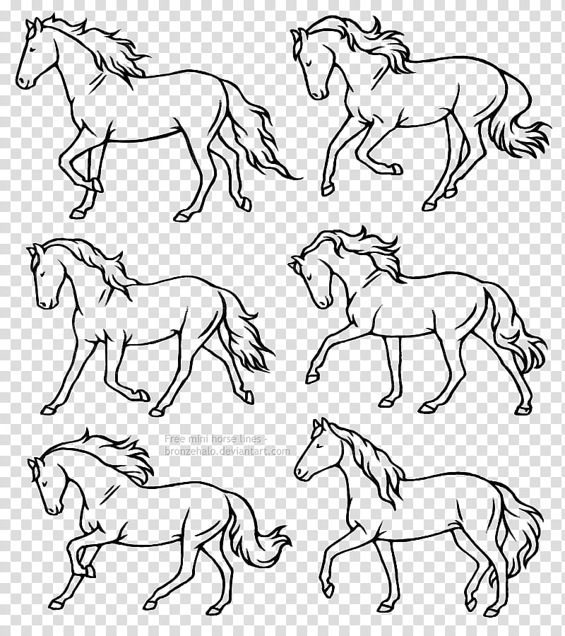 Free mini horse lines, black horses transparent background PNG clipart