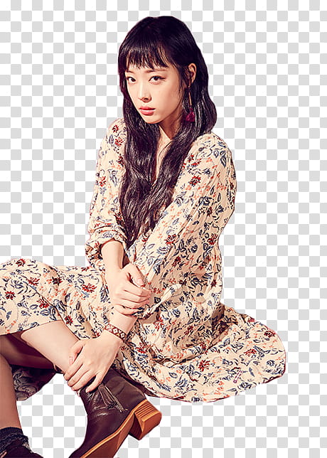 Sulli P transparent background PNG clipart