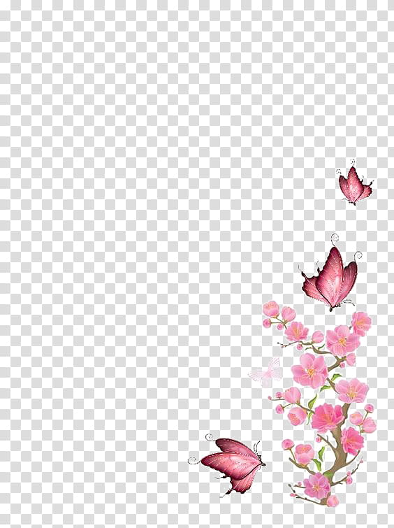 pink and white butterflies on flowers transparent background PNG clipart