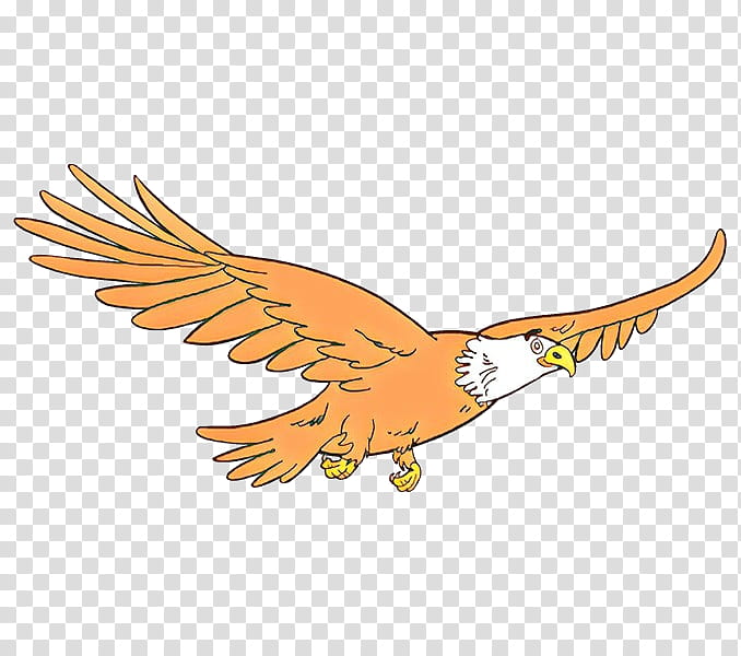 Eagle Logo, Cartoon, Bald Eagle, Beak, Fauna, Feather, Bird, Golden Eagle transparent background PNG clipart