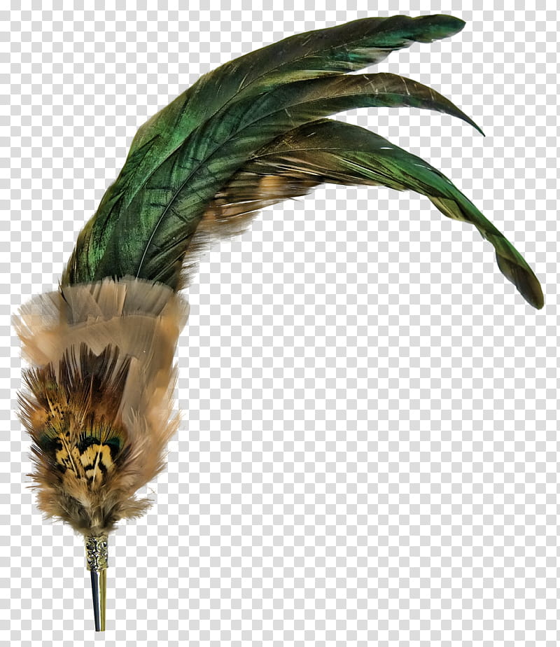 feathered broche, green peafowl feathers transparent background PNG clipart