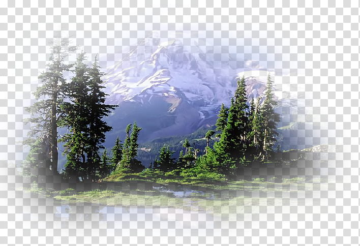 mount rainer clipart