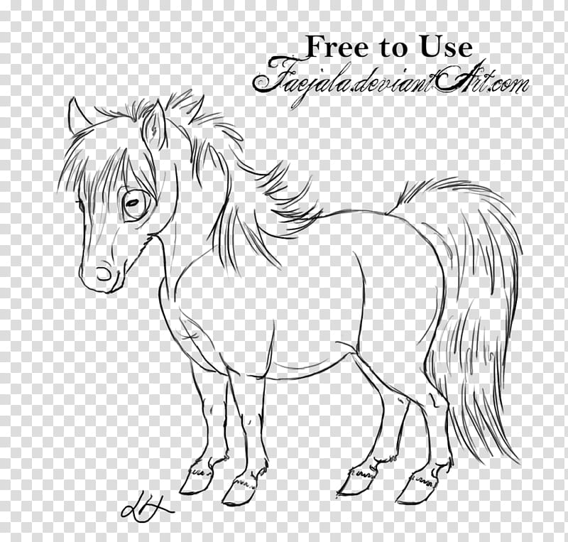 Free to use Lines, fluffy Pony transparent background PNG clipart