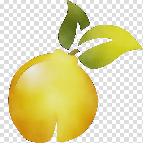 Lemon Tree, Yellow, Apple, Plant, Leaf, Fruit, Flower transparent background PNG clipart