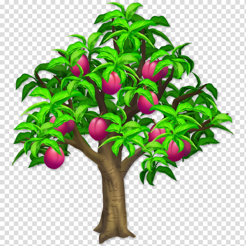 plum tree clipart