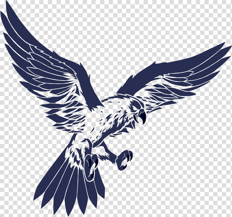 Falcon logo thingy render transparent background PNG clipart