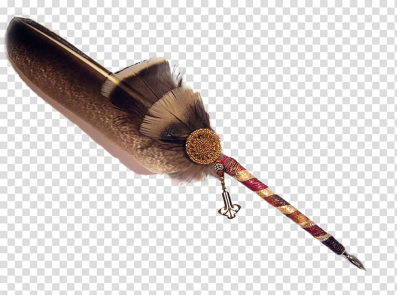 Insect Feather, Quill, Pen, Wing transparent background PNG clipart