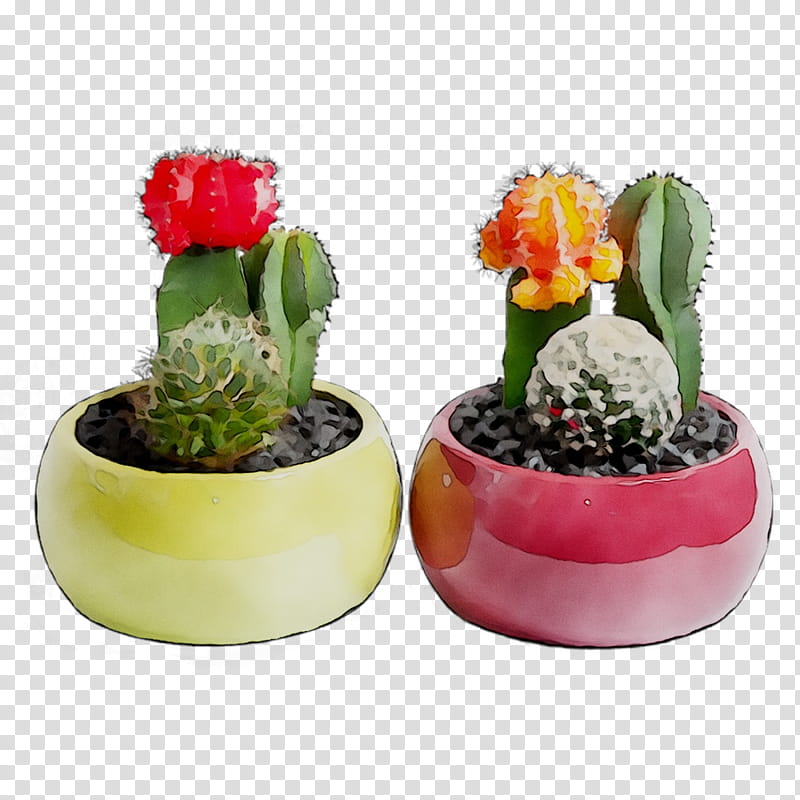 Pink Flower, Cactus, Flowerpot, Succulent Plant, Houseplant, Garden, Cactus Garden, Plants transparent background PNG clipart