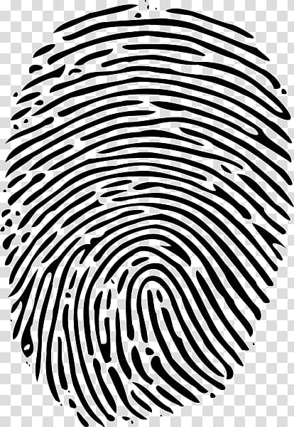 Fingerprint Hand Drawn Outline Doodle Icon Stock Vector  Illustration of  password fingerprint 120881057