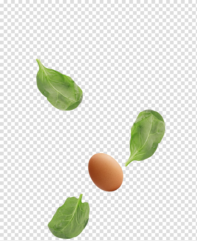 Basil Leaf, Ravioli, Greens, Supper, Lunch, Menu, Concoction, Health transparent background PNG clipart