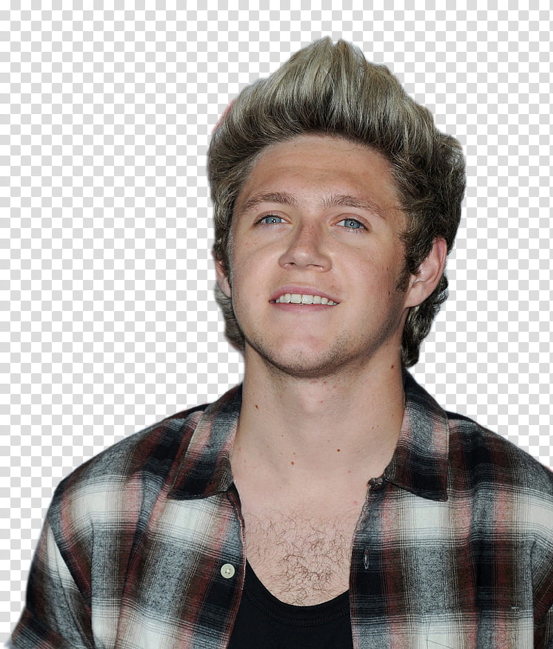 Niall Horan transparent background PNG clipart