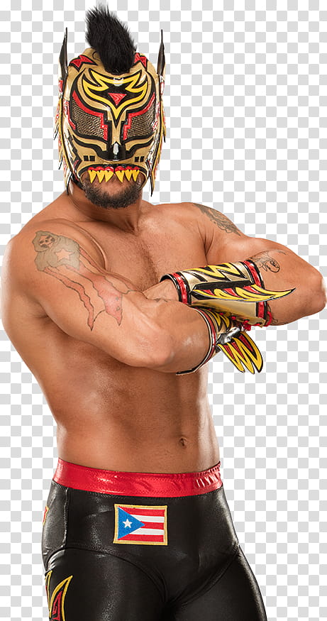 Lince Dorado transparent background PNG clipart