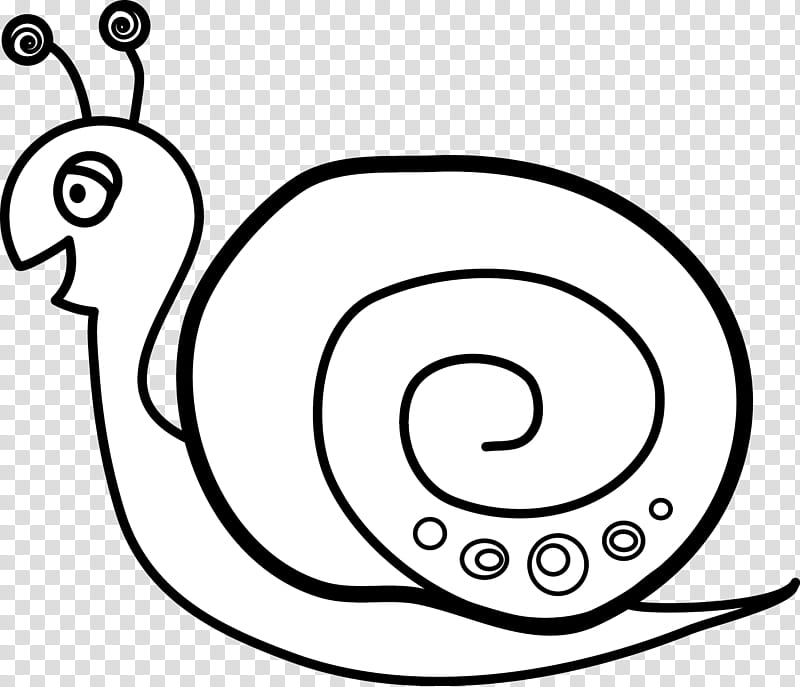 Bird Line Art, Snail, Cartoon, Snail Racing, Animal, Silhouette, Slug, Sea Snail transparent background PNG clipart