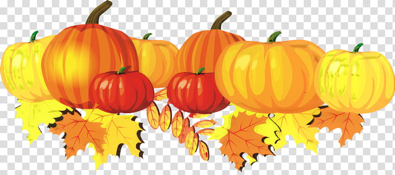 Halloween Orange, Pumpkin, Fall Pumpkins, Autumn, Field Pumpkin, Thanksgiving, Halloween , Natural Foods transparent background PNG clipart