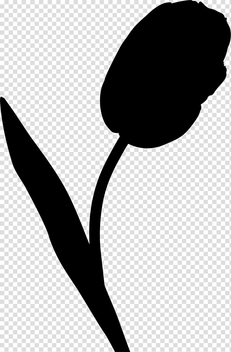 Tulip Flower, Leaf, Line, Silhouette, Plants, Black M, Blackandwhite, Herbaceous Plant transparent background PNG clipart