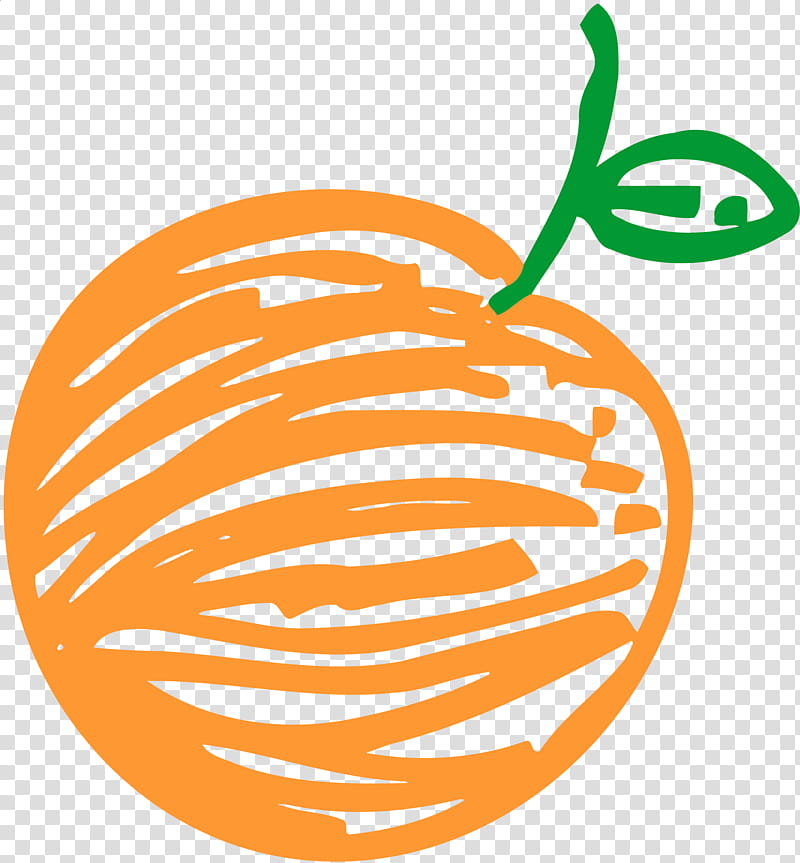 Orange Tree, Drawing, Fruit, Food, Pumpkin, Vegetable, Line, Plant transparent background PNG clipart