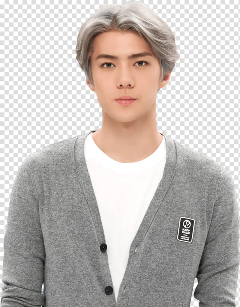 Sehun EXO LOVE PLANET transparent background PNG clipart