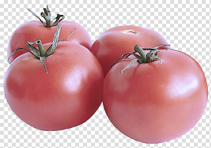 Tomato, Natural Foods, Solanum, Bush Tomato, Fruit, Plum Tomato, Plant, Vegetable transparent background PNG clipart
