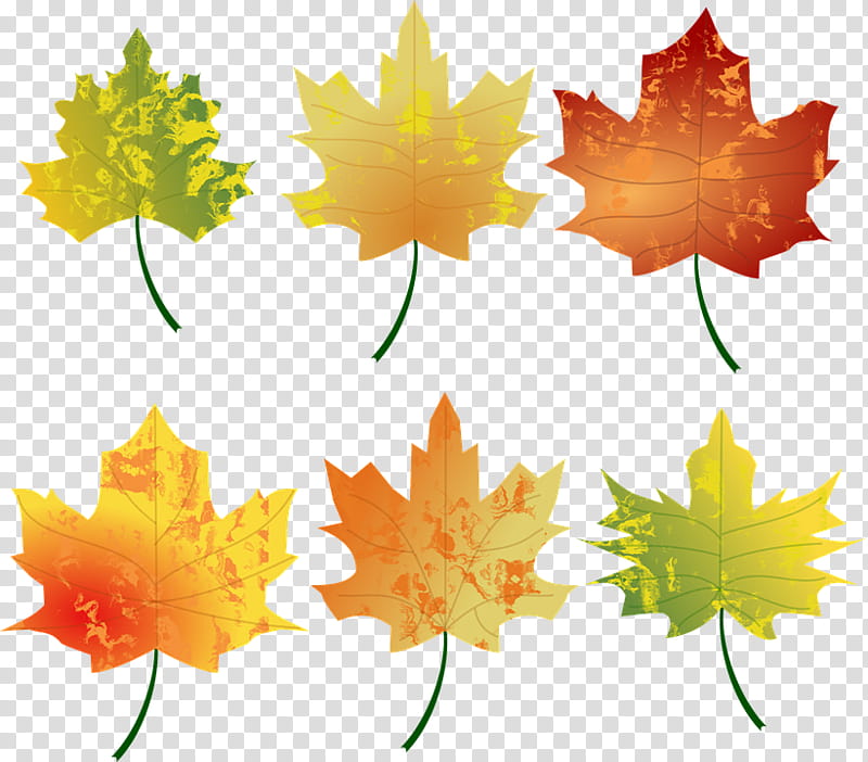 Autumn swatches, maple leaves transparent background PNG clipart