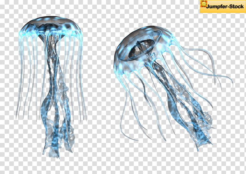 Giant Jellyfish , two green jelly fish transparent background PNG clipart