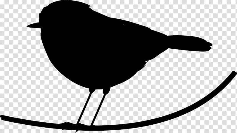 Bird Silhouette, Beak, Blackbird, Blackandwhite, Perching Bird, Songbird transparent background PNG clipart