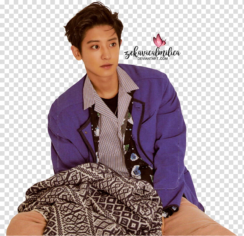 EXO Chanyeol  Season Greetings, Exo transparent background PNG clipart