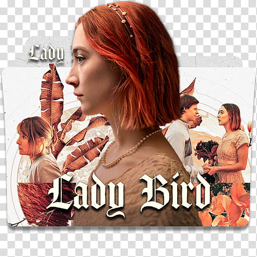 Movie Collection Folder Icon Part , Lady Bird transparent background PNG clipart
