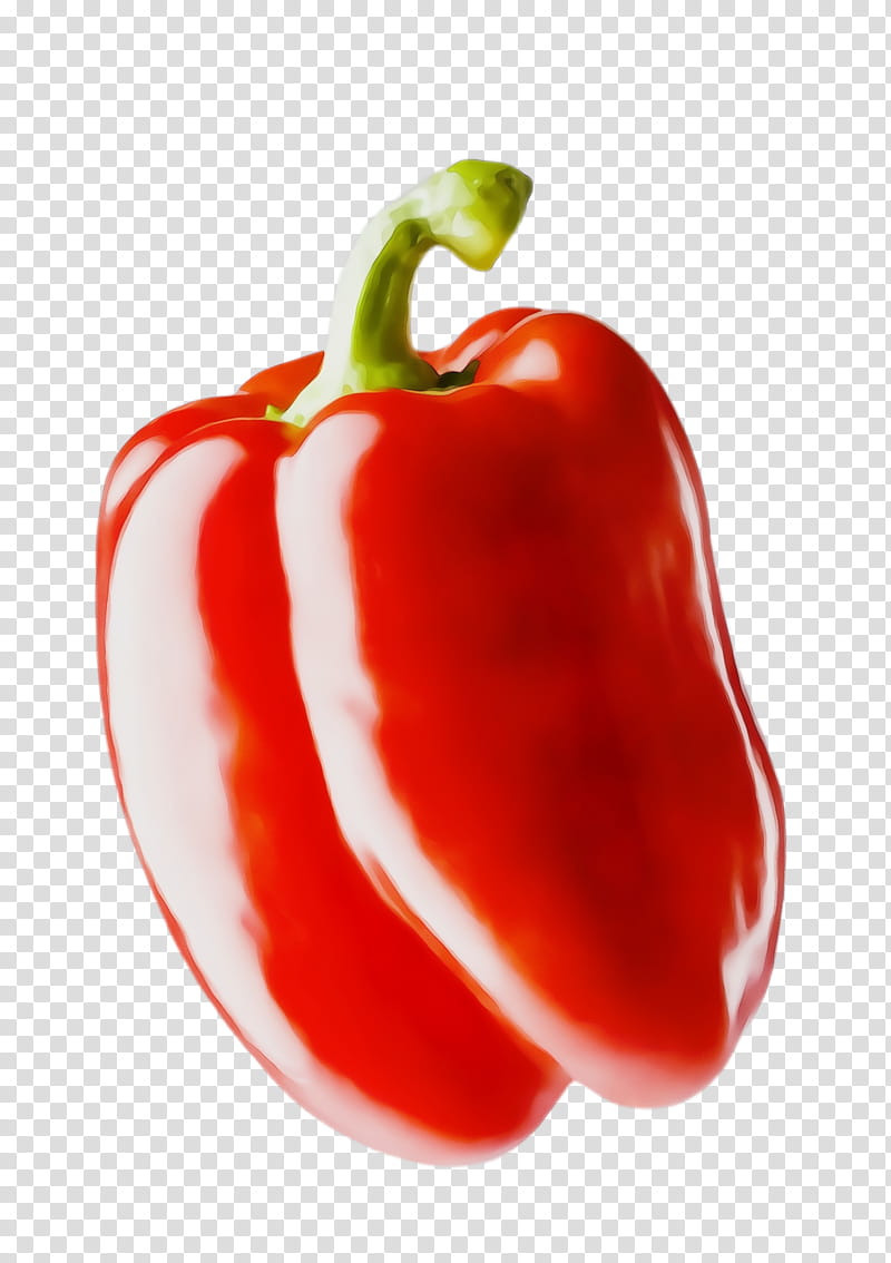 pimiento bell pepper red bell pepper bell peppers and chili peppers vegetable, Watercolor, Paint, Wet Ink, Paprika, Natural Foods, Capsicum transparent background PNG clipart